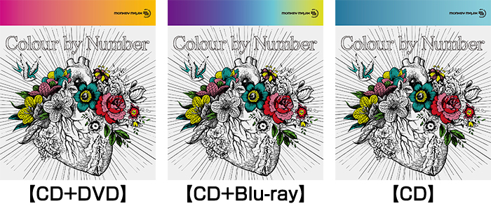 MONKEY MAJIK「Colour by Number」