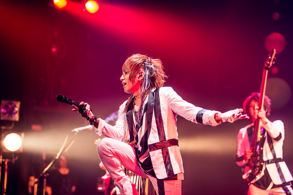 DaizyStripper 11th Anniversary「KISS THE FUTURE〜Perfect Request DaizyStripper 11th Anniversary「KISS THE FUTURE〜Perfect Request