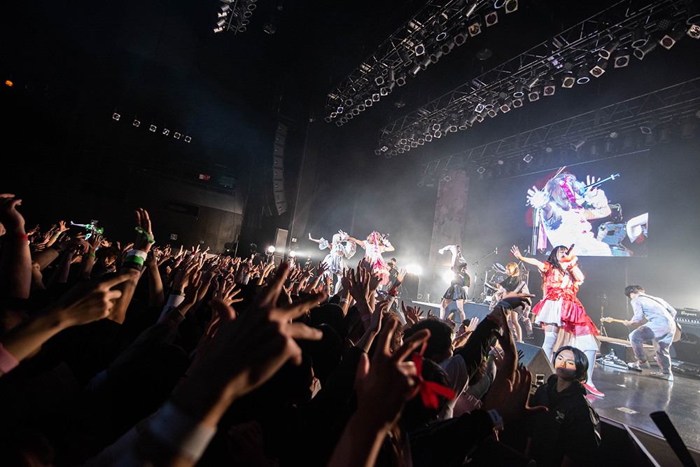 ライブレポート ぜんぶ君のせいだ Zepp Tokyoワンマンで起こした革命の正体とは Di Ga Online ライブ コンサートチケット先行 Disk Garage ディスクガレージ