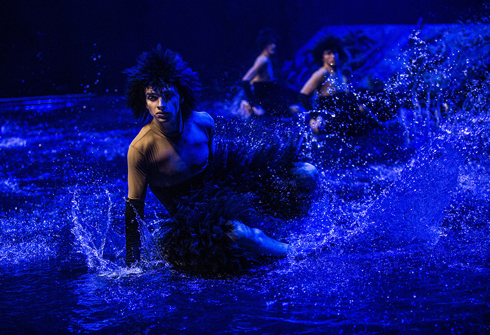 バレエ×水の演出×映像、「SWAN LAKE ON WATER〜ついに、ほんとうの水を 