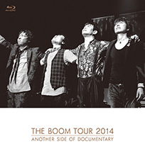 宮沢和史「THE BOOM TOUR 2014 ANOTHER SIDE OF DOCUMENTARY」